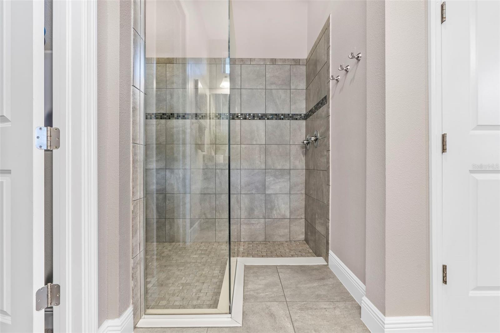 11851 LAKE LUCAYA DR, RIVERVIEW, FL, 33579