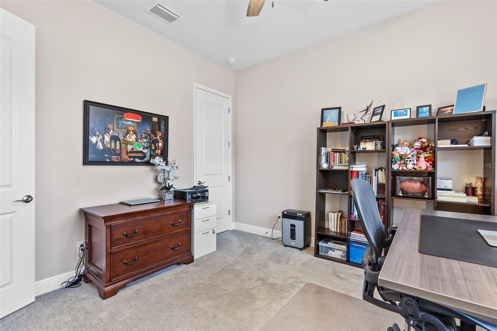 11851 LAKE LUCAYA DR, RIVERVIEW, FL, 33579