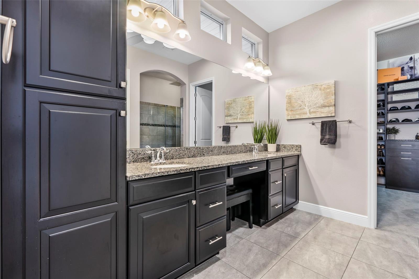 11851 LAKE LUCAYA DR, RIVERVIEW, FL, 33579