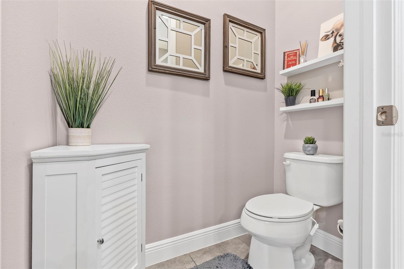 11851 LAKE LUCAYA DR, RIVERVIEW, FL, 33579