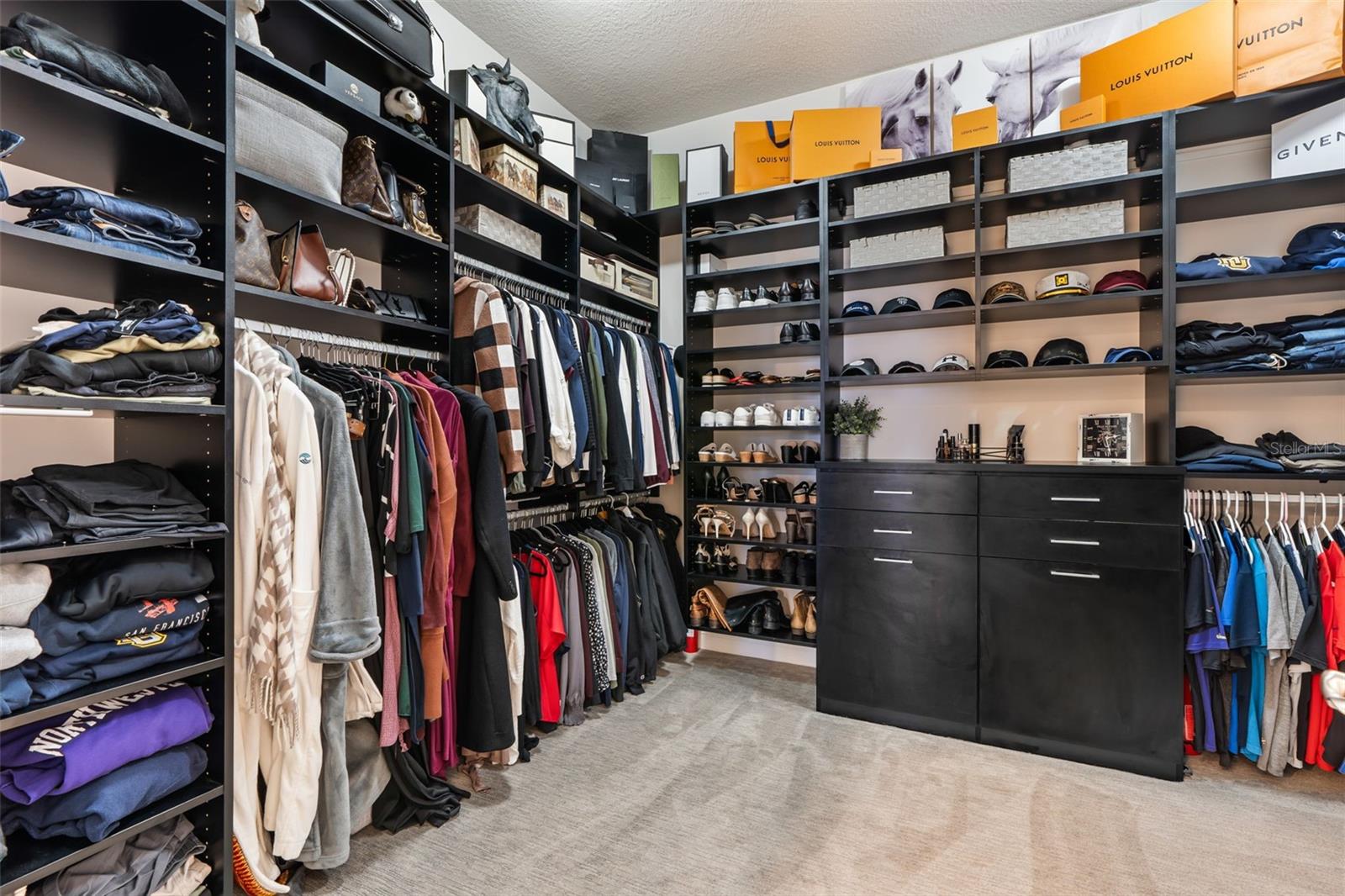 11851 LAKE LUCAYA DR, RIVERVIEW, FL, 33579