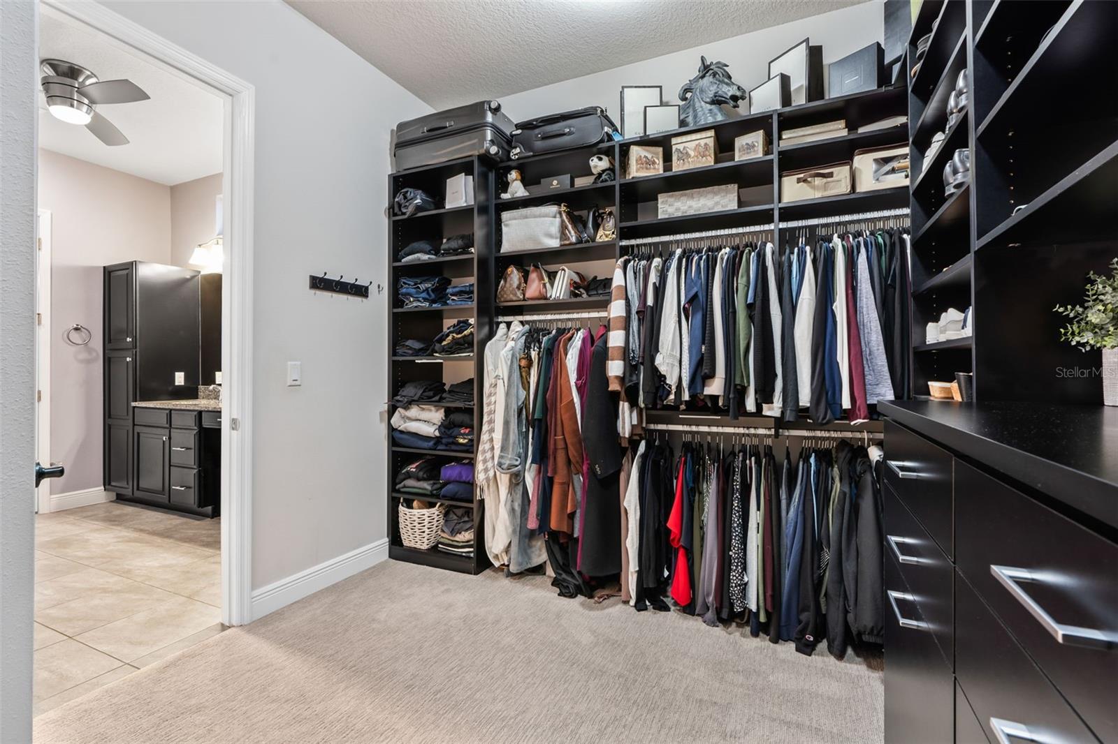 11851 LAKE LUCAYA DR, RIVERVIEW, FL, 33579