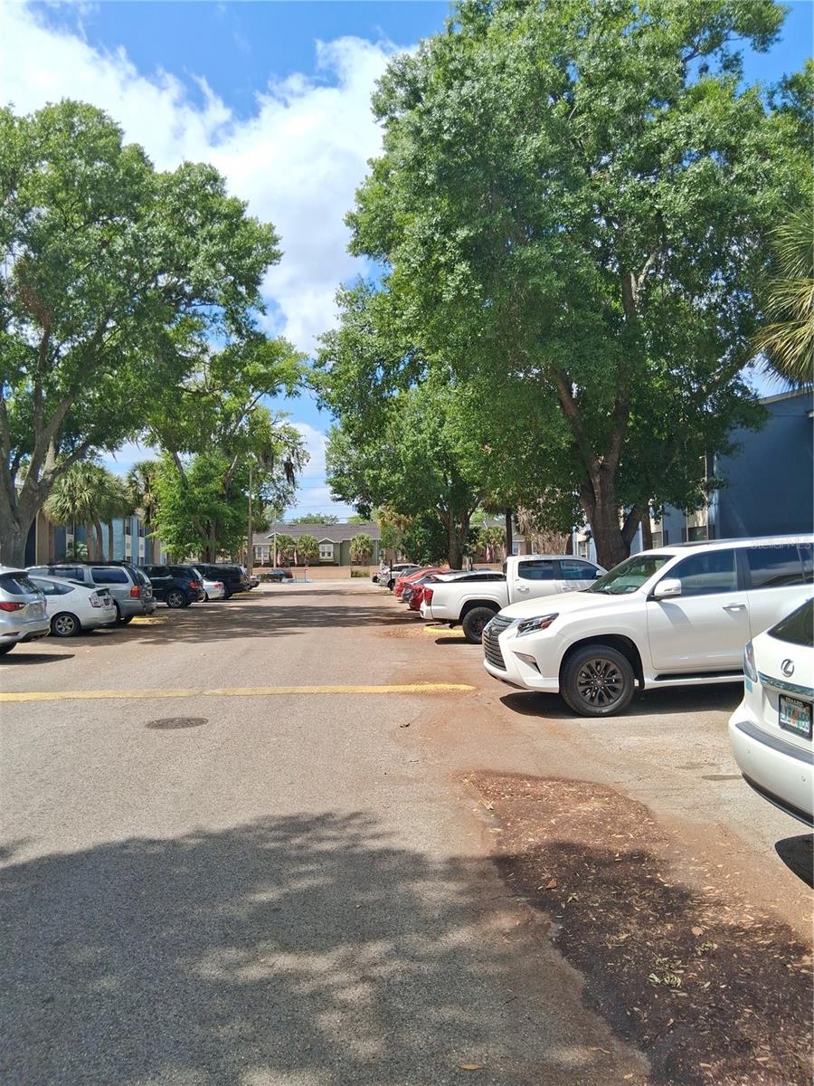 2559 N ALAFAYA TRL #115, ORLANDO, FL, 32826