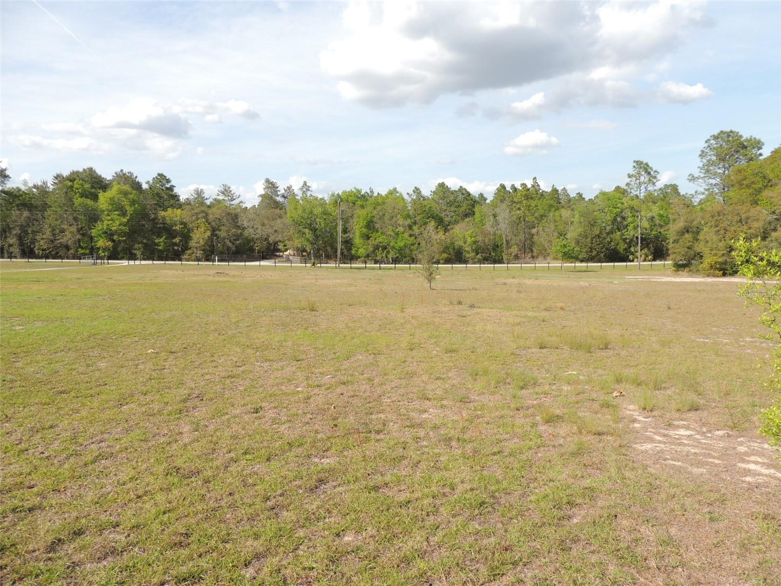 12950 NE 49TH ST, WILLISTON, FL, 32696