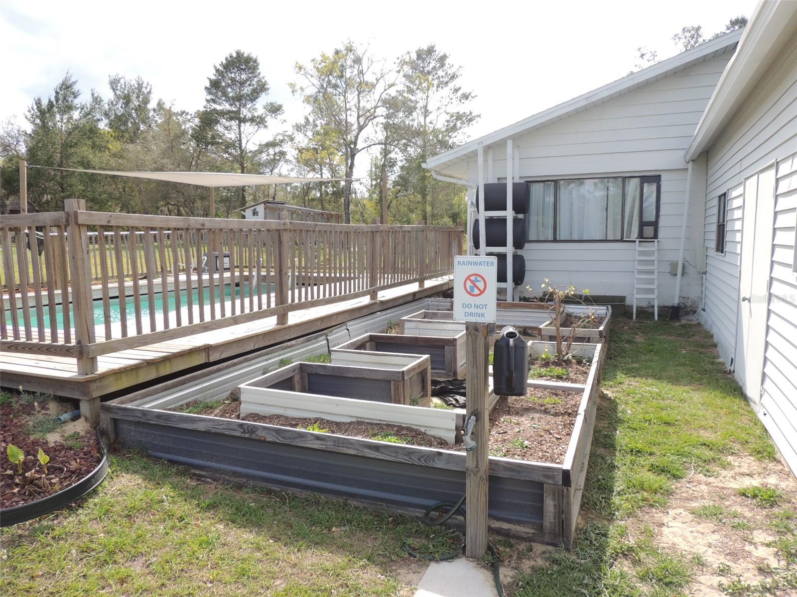 12950 NE 49TH ST, WILLISTON, FL, 32696