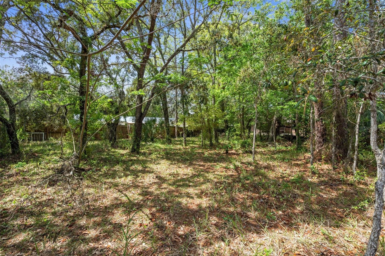 7160 W PORPOISE DR, HOMOSASSA, FL, 34446