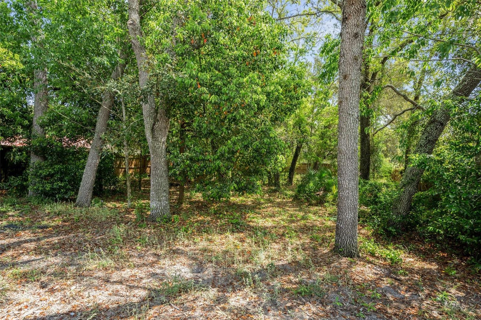 7160 W PORPOISE DR, HOMOSASSA, FL, 34446