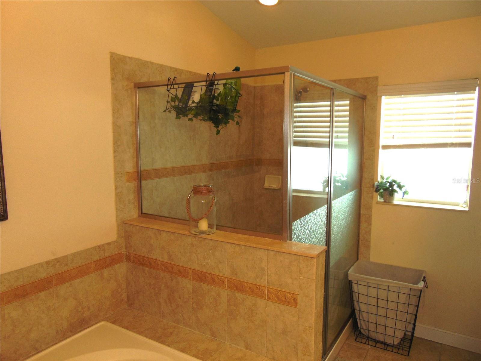 13403 GRAHAM YARDEN DR, RIVERVIEW, FL, 33579