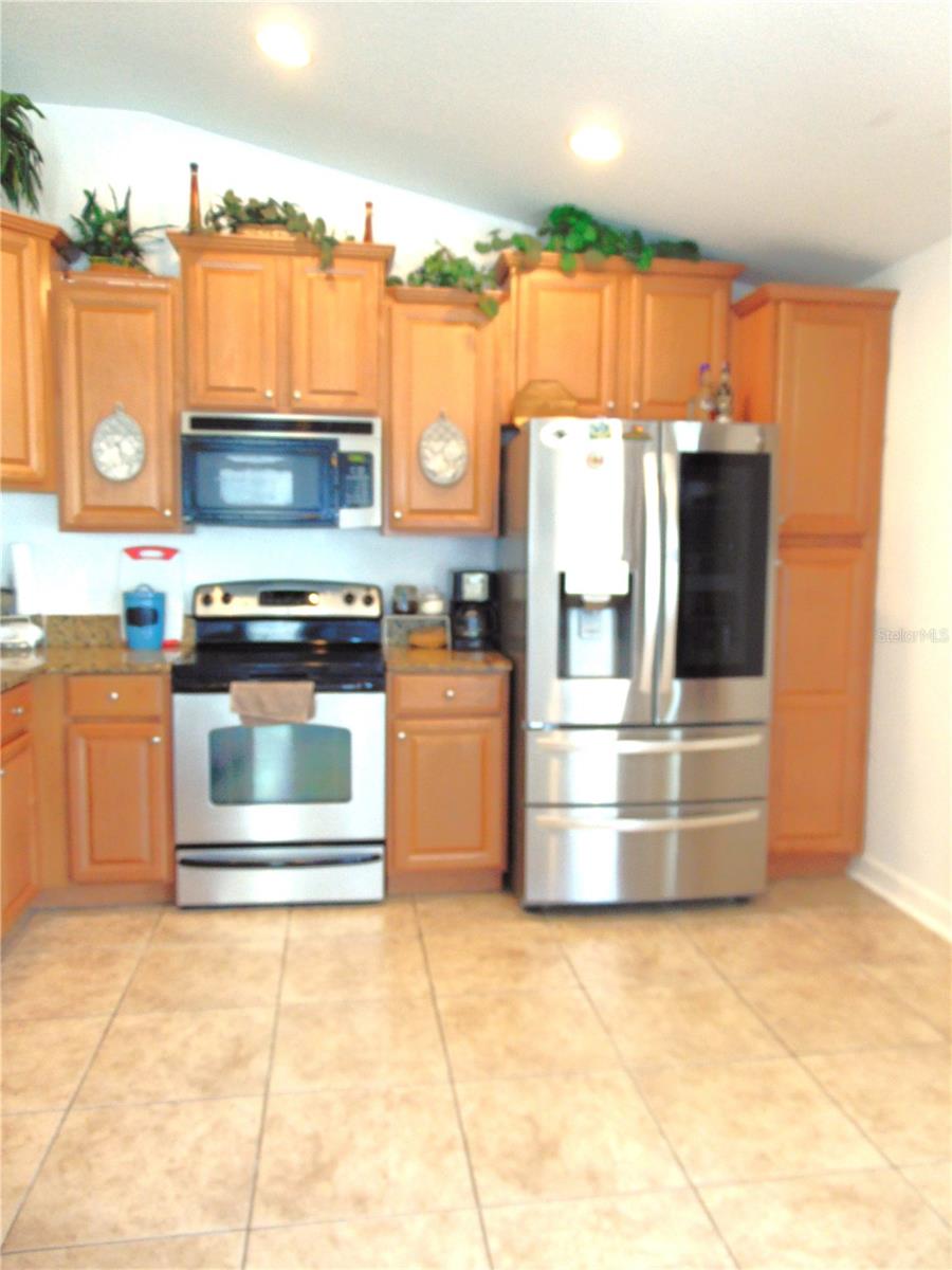 13403 GRAHAM YARDEN DR, RIVERVIEW, FL, 33579