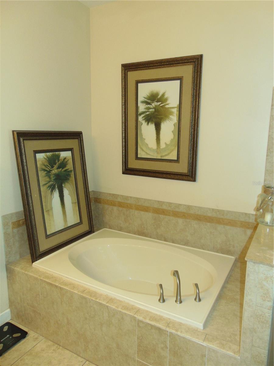 13403 GRAHAM YARDEN DR, RIVERVIEW, FL, 33579