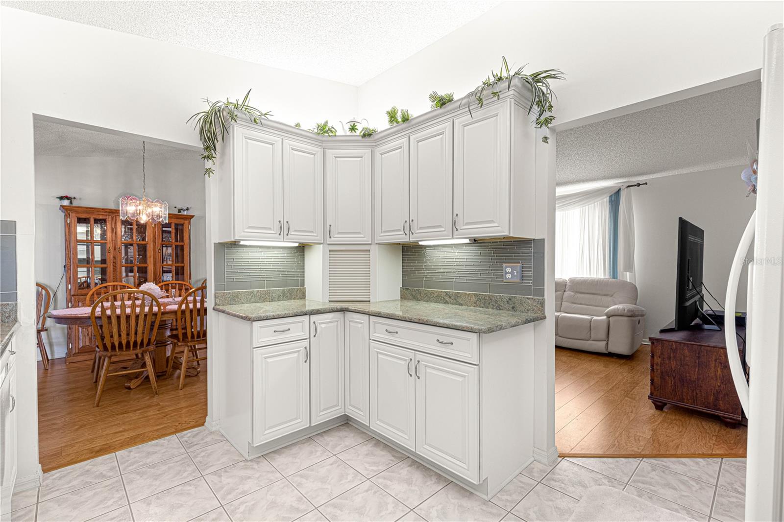 9773 SE 179TH PL, SUMMERFIELD, FL, 34491