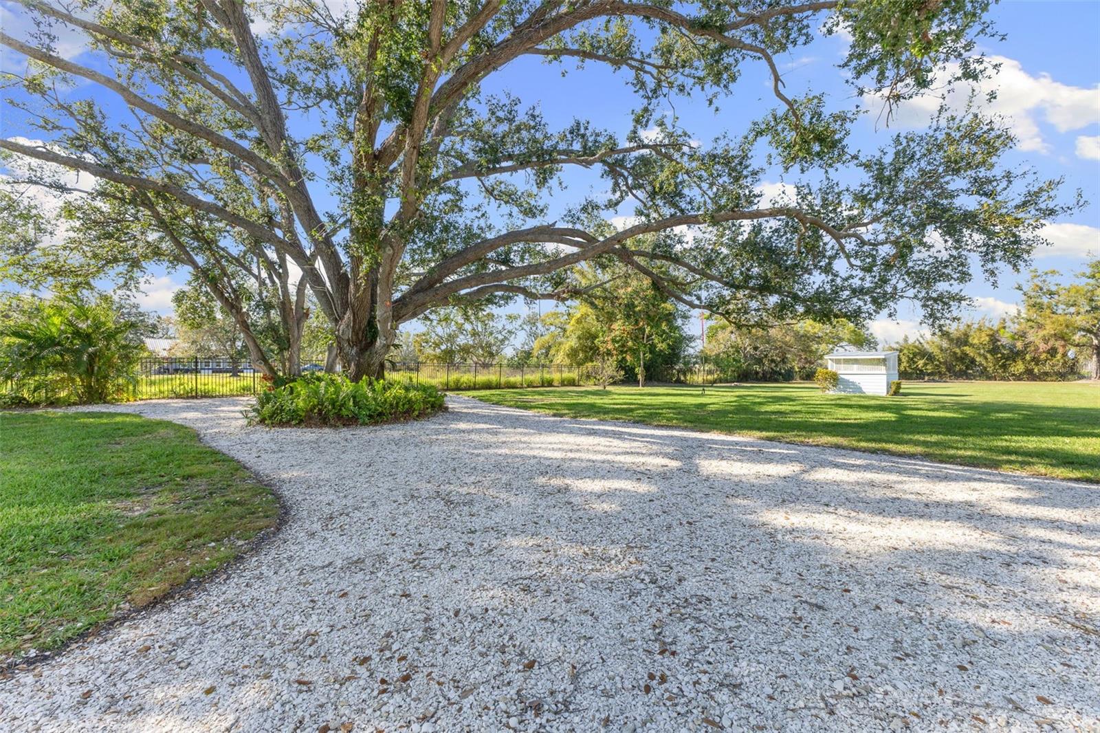 TB8367891 Property Photo