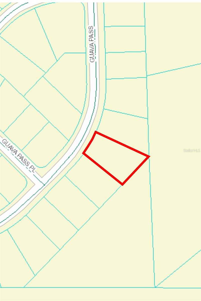 164 GUAVA PASS, OCKLAWAHA, FL, 32179