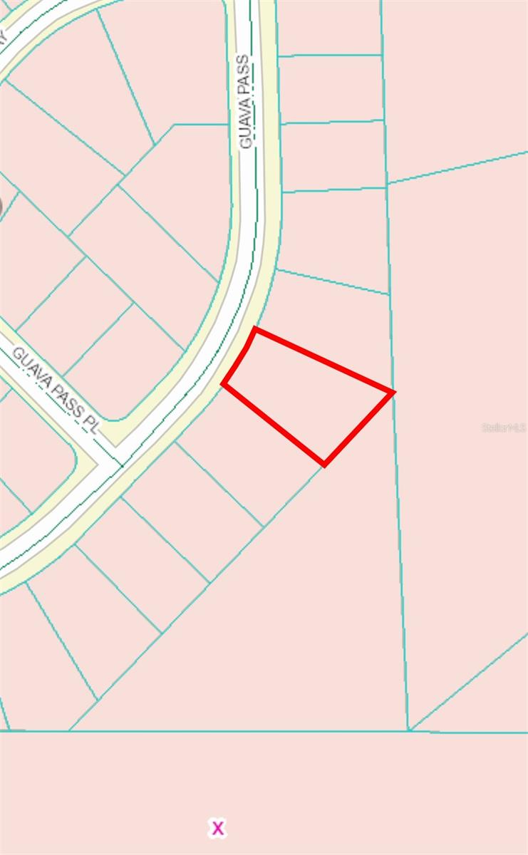 164 GUAVA PASS, OCKLAWAHA, FL, 32179