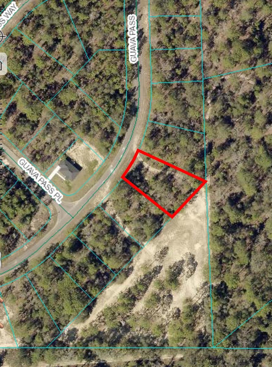 164 GUAVA PASS, OCKLAWAHA, FL, 32179