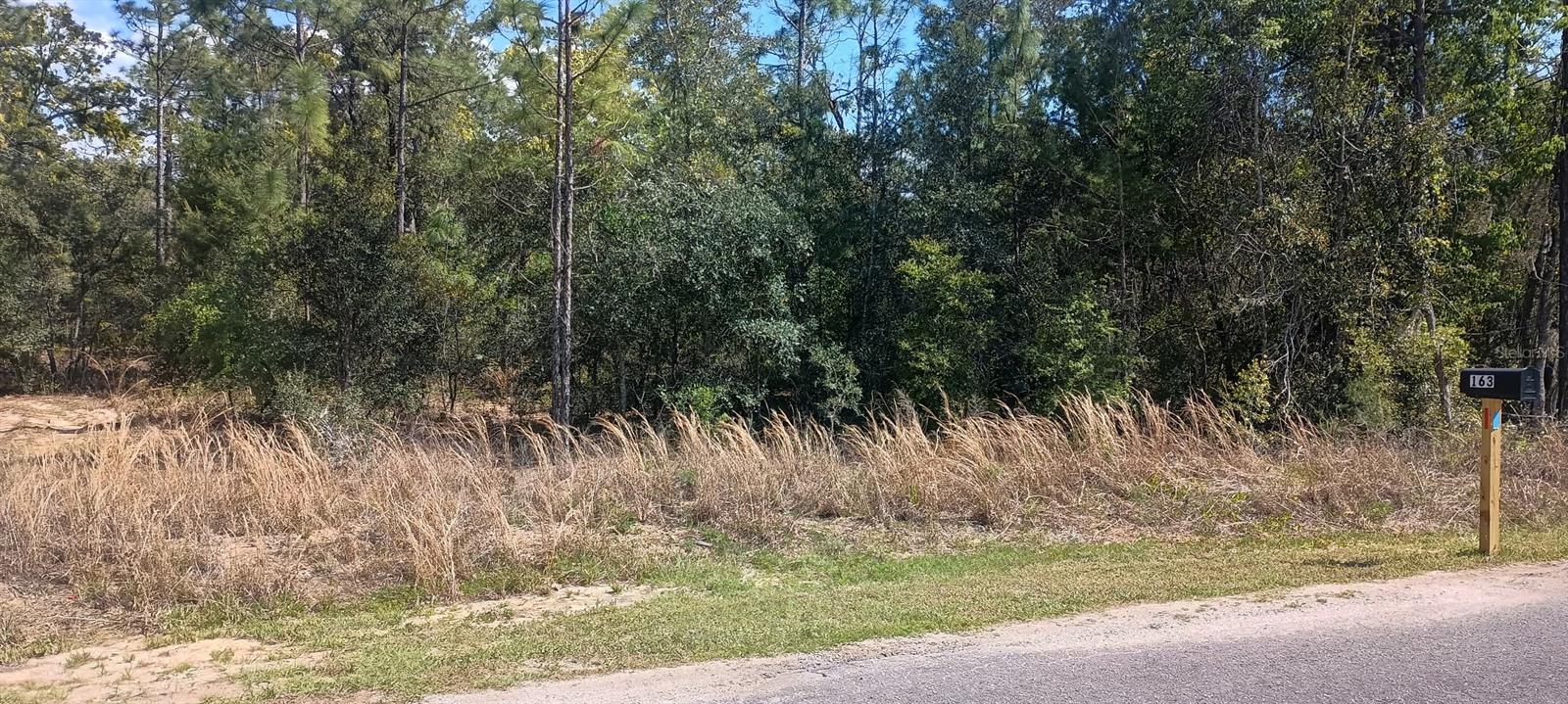 164 GUAVA PASS, OCKLAWAHA, FL, 32179