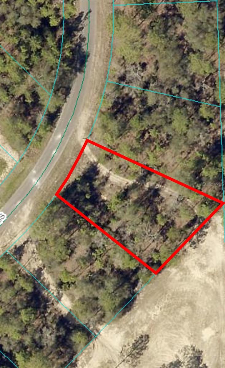 164 GUAVA PASS, OCKLAWAHA, FL, 32179