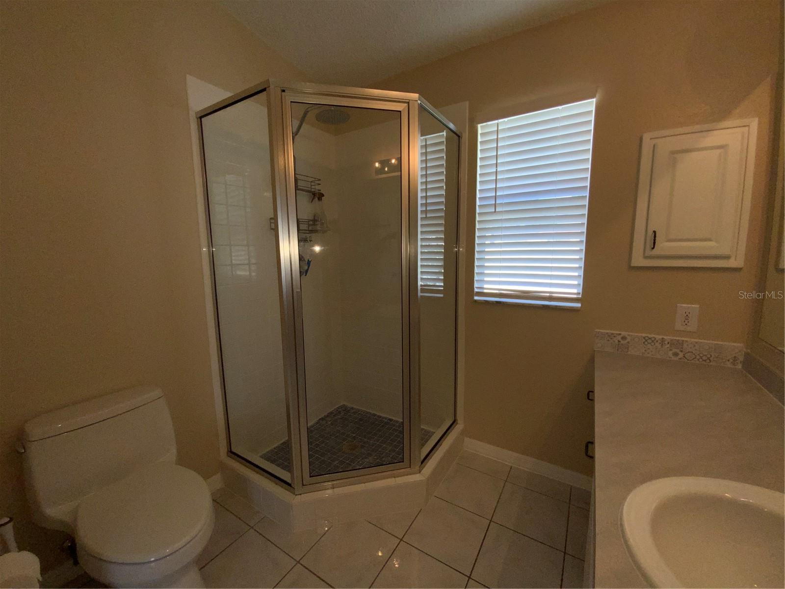 664 SAN PEDRO DR, THE VILLAGES, FL, 32159