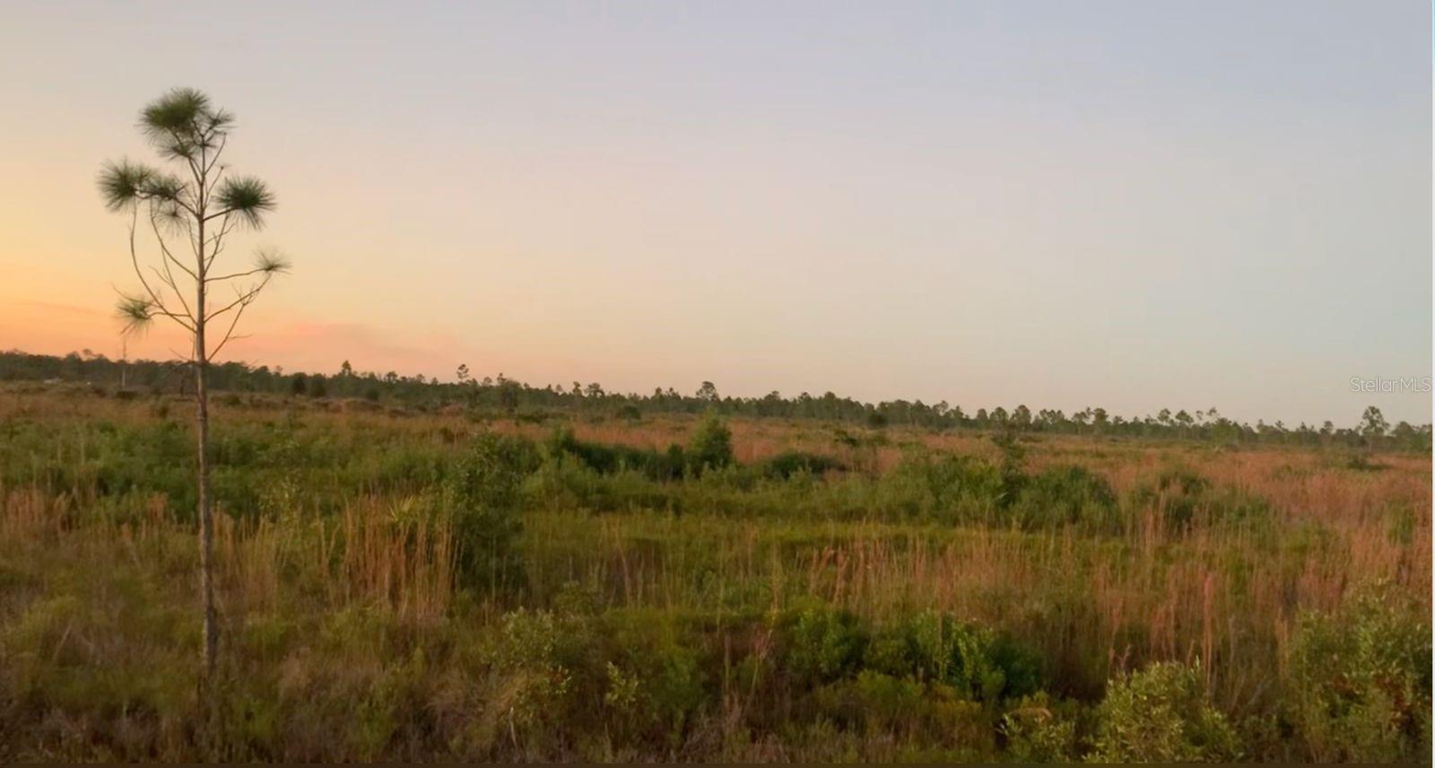 418 PORTULACA DR, INDIAN LAKE ESTATES, FL, 33855