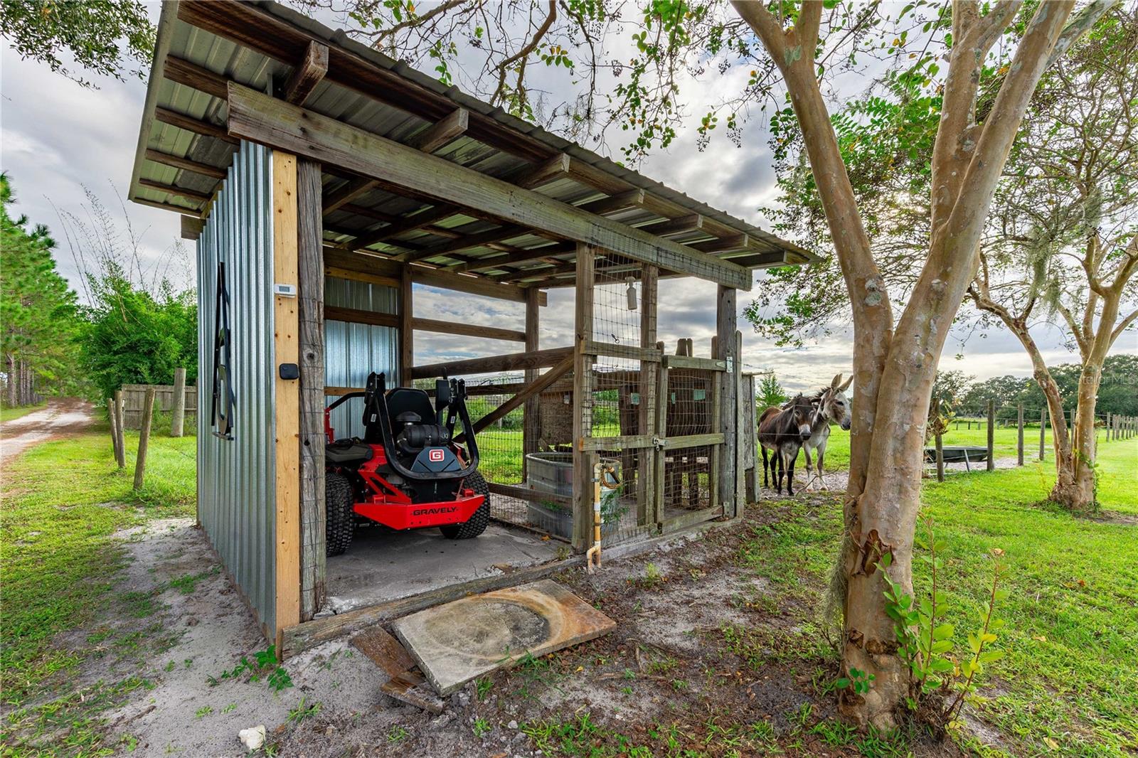 8146 CR 614A, BUSHNELL, FL, 33513