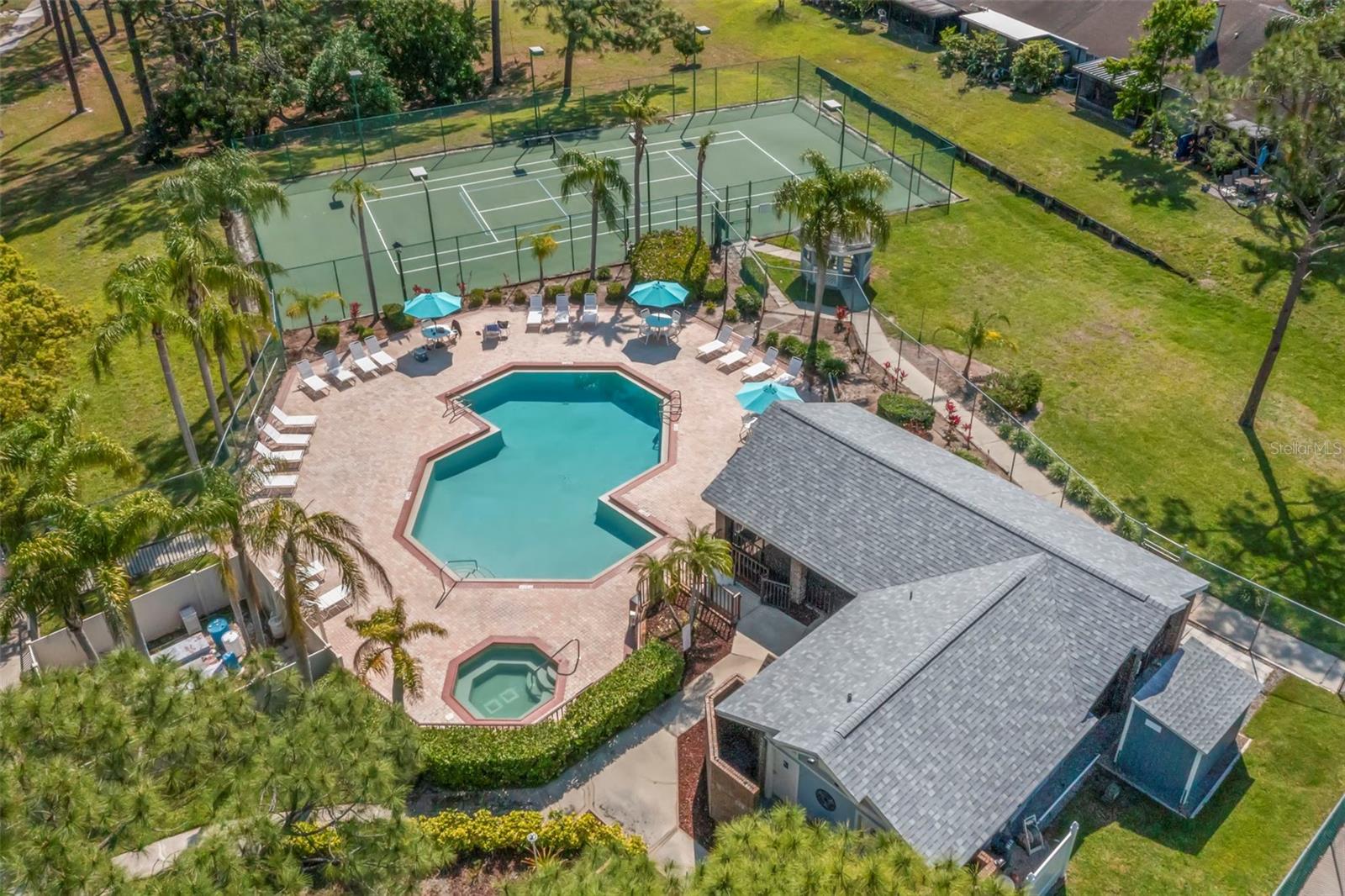 3261 PINE FOREST DR, PALM HARBOR, FL, 34684