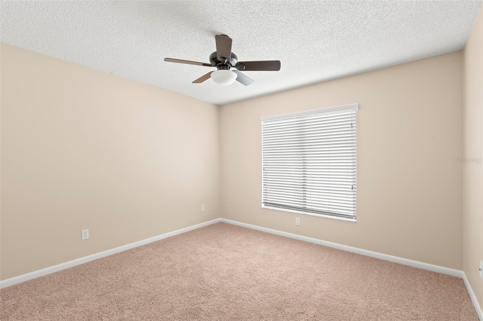 3261 PINE FOREST DR, PALM HARBOR, FL, 34684