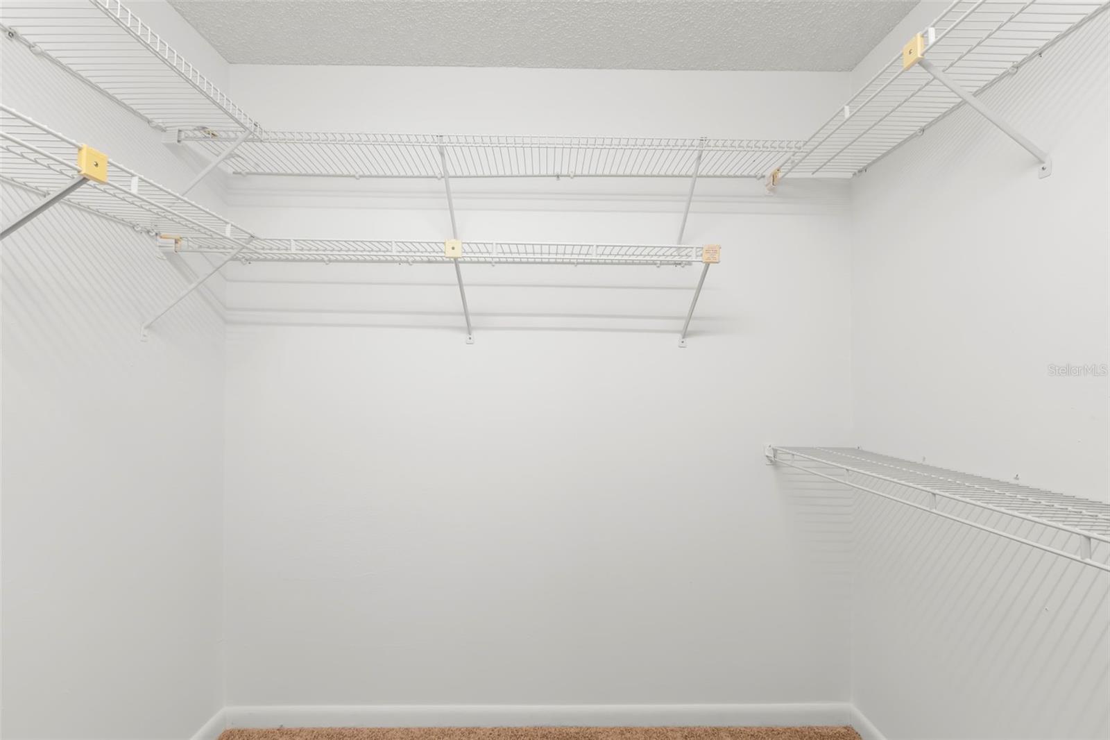 3261 PINE FOREST DR, PALM HARBOR, FL, 34684