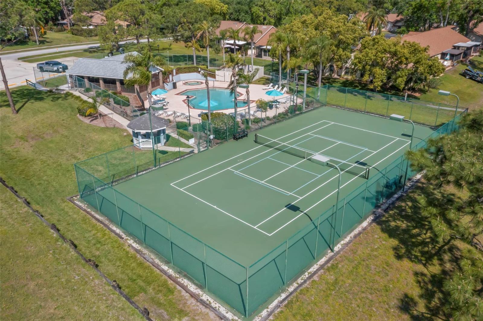 3261 PINE FOREST DR, PALM HARBOR, FL, 34684