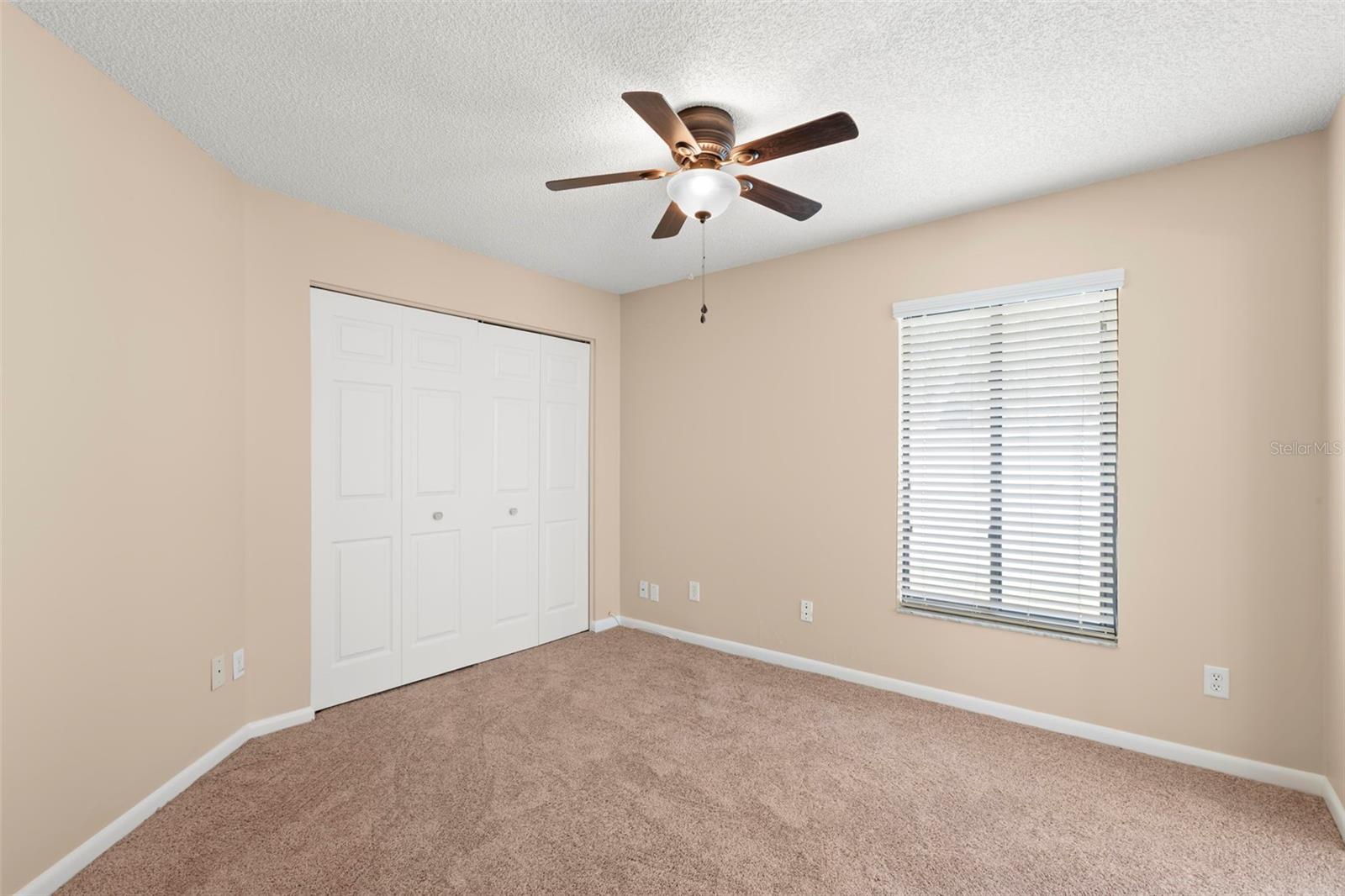 3261 PINE FOREST DR, PALM HARBOR, FL, 34684