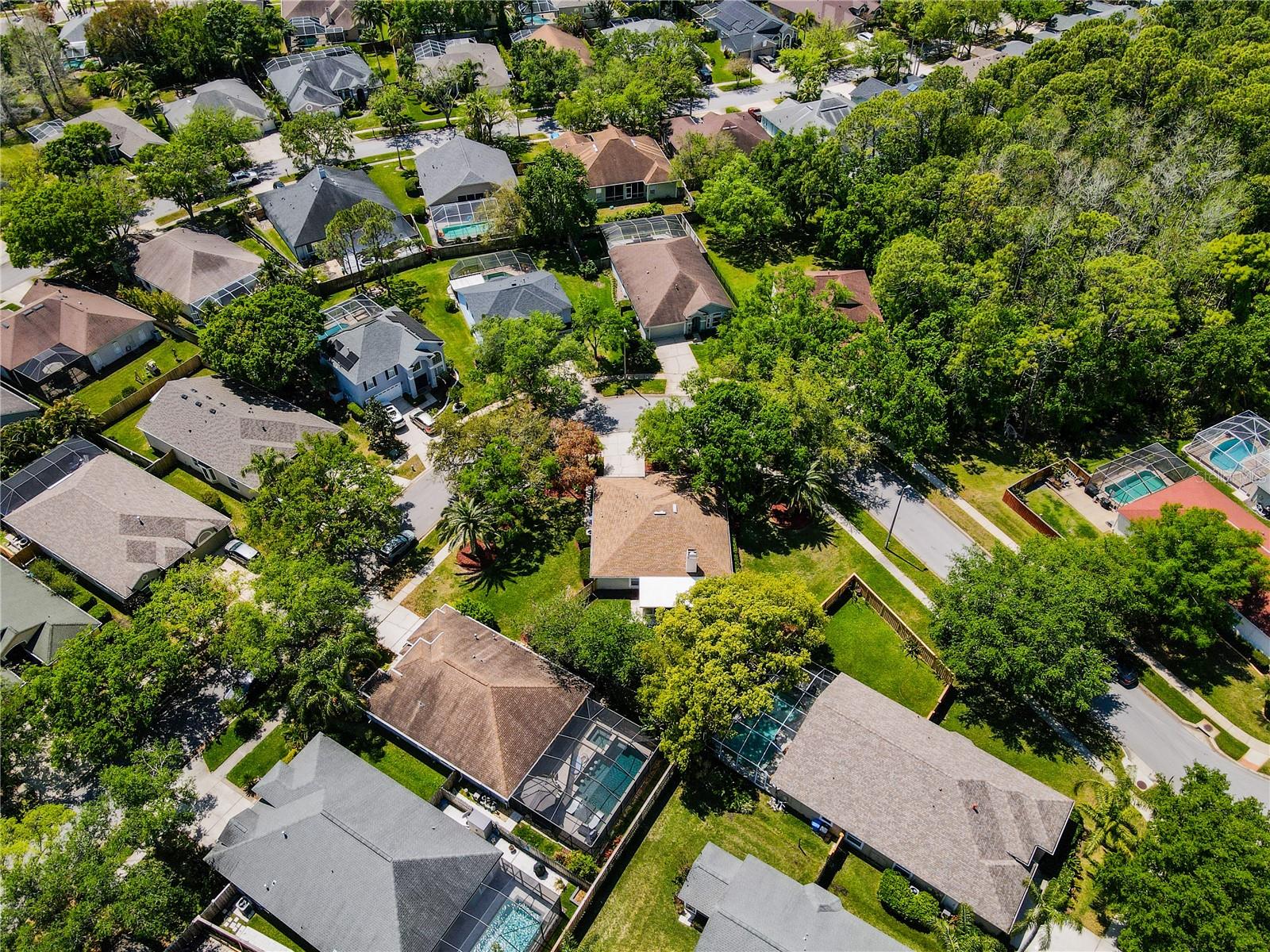 11704 DERBYSHIRE DR, TAMPA, FL, 33626