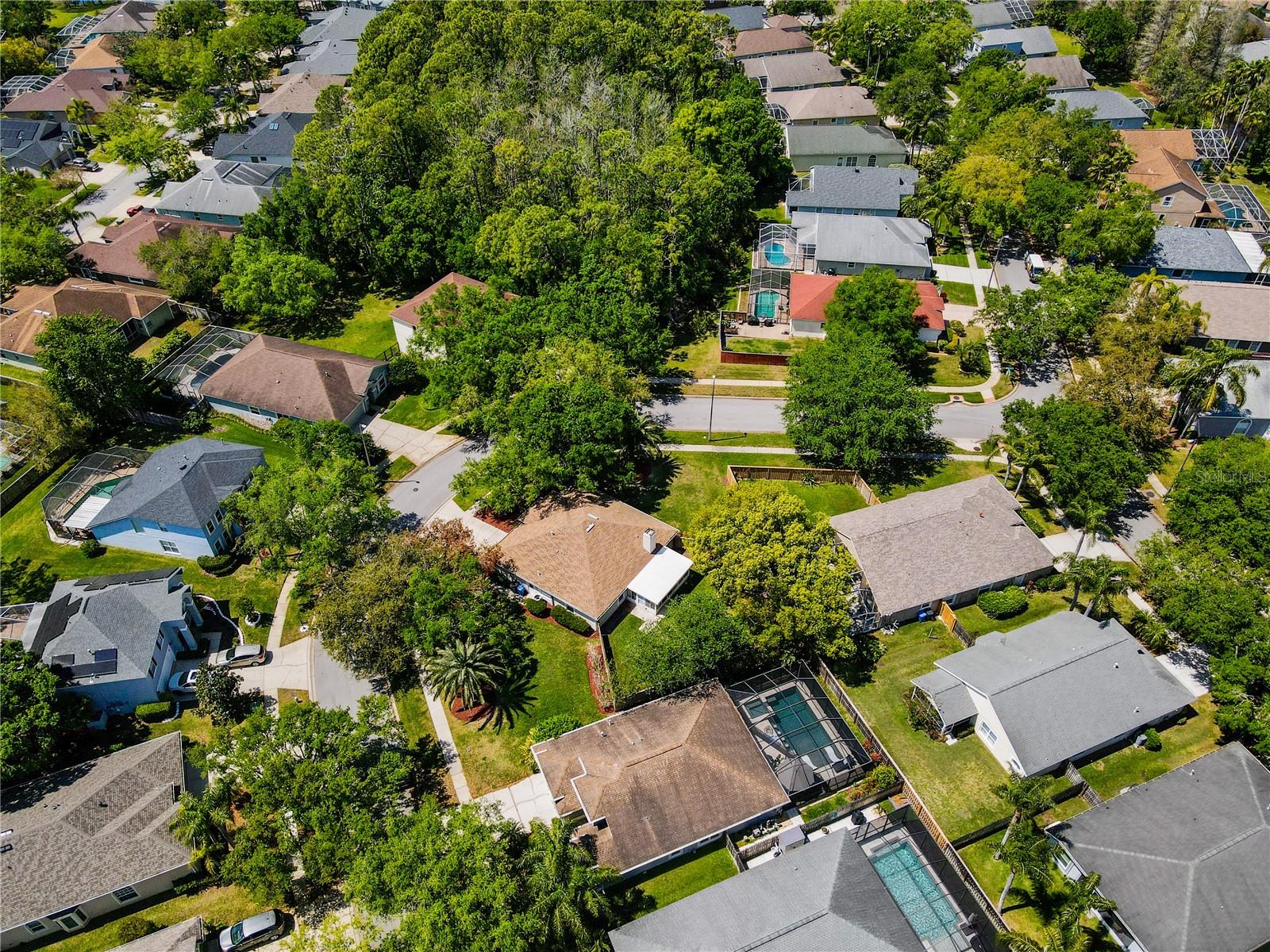 11704 DERBYSHIRE DR, TAMPA, FL, 33626