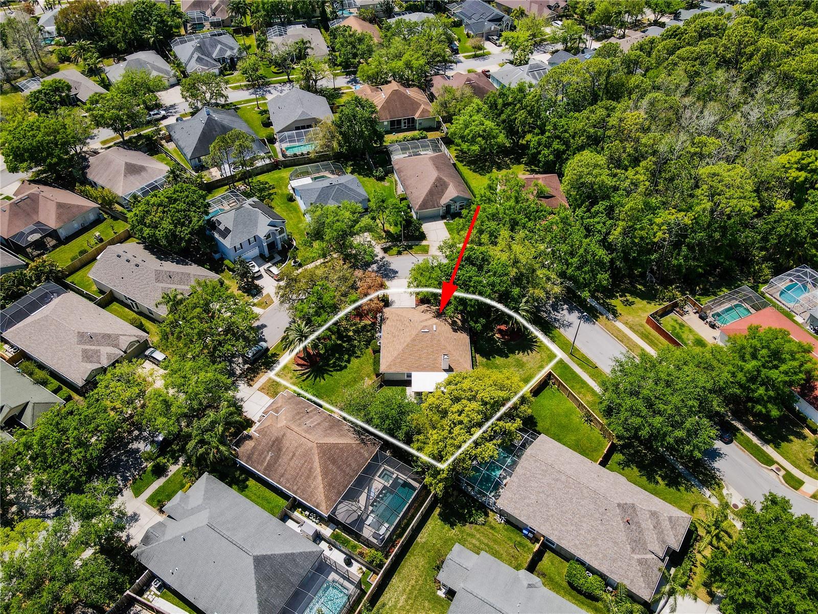 11704 DERBYSHIRE DR, TAMPA, FL, 33626