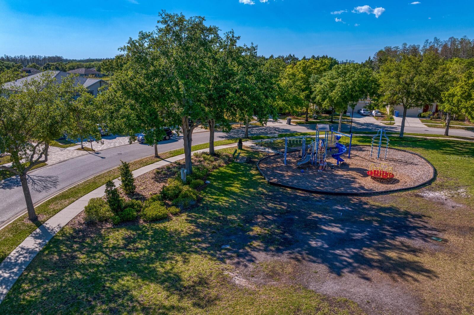 2935 WINGLEWOOD CIR, LUTZ, FL, 33558