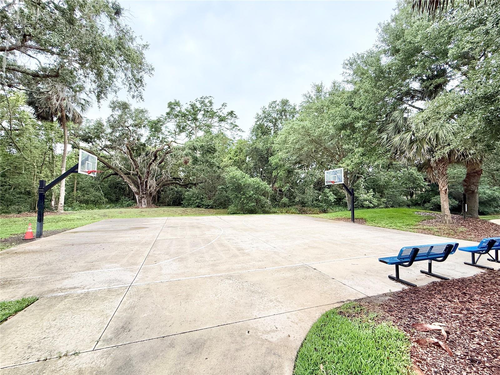 3275 OAK BROOK LN, EUSTIS, FL, 32736