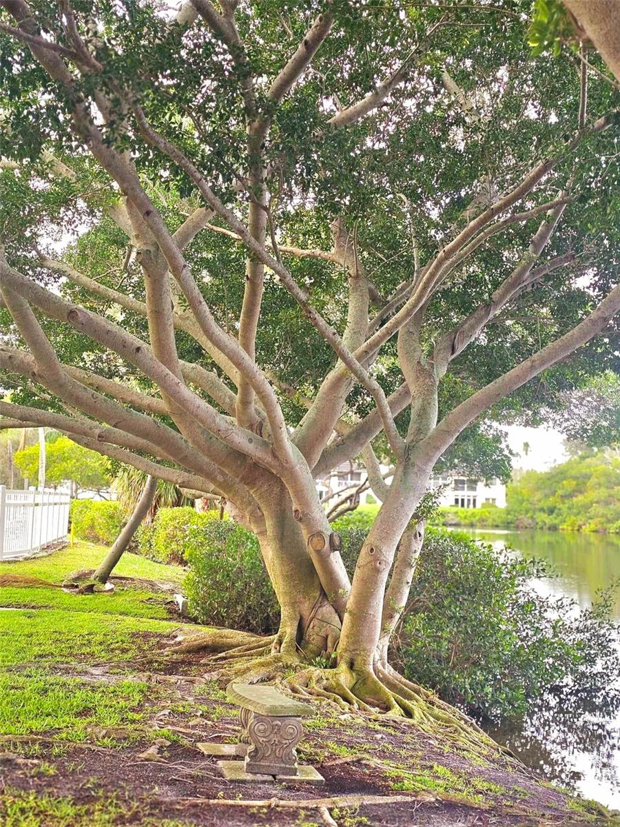 4570 OVERLOOK DR NE #282, ST PETERSBURG, FL, 33703