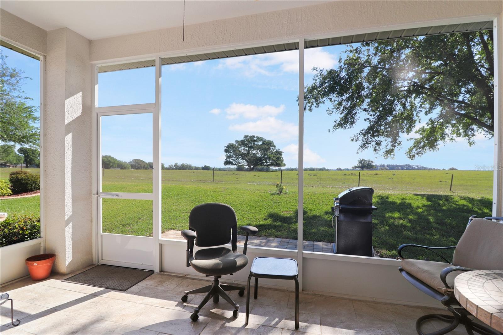 20846 QUEEN ALEXANDRA DR, LEESBURG, FL, 34748