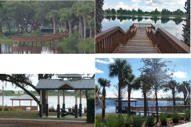 13827 AMELIA POND DR, WINDERMERE, FL, 34786