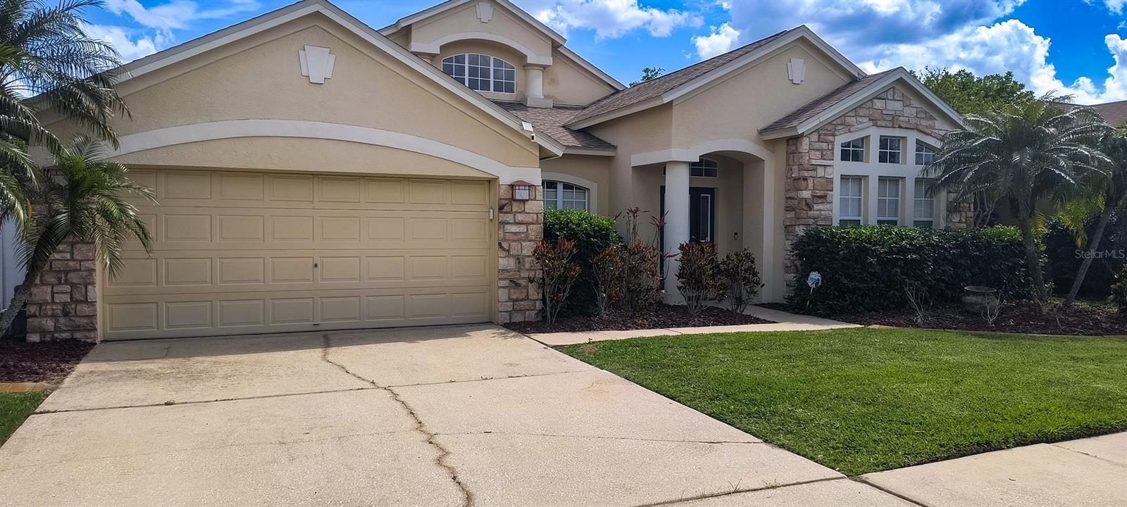 8710 TORCHWOOD DR, TRINITY, FL, 34655