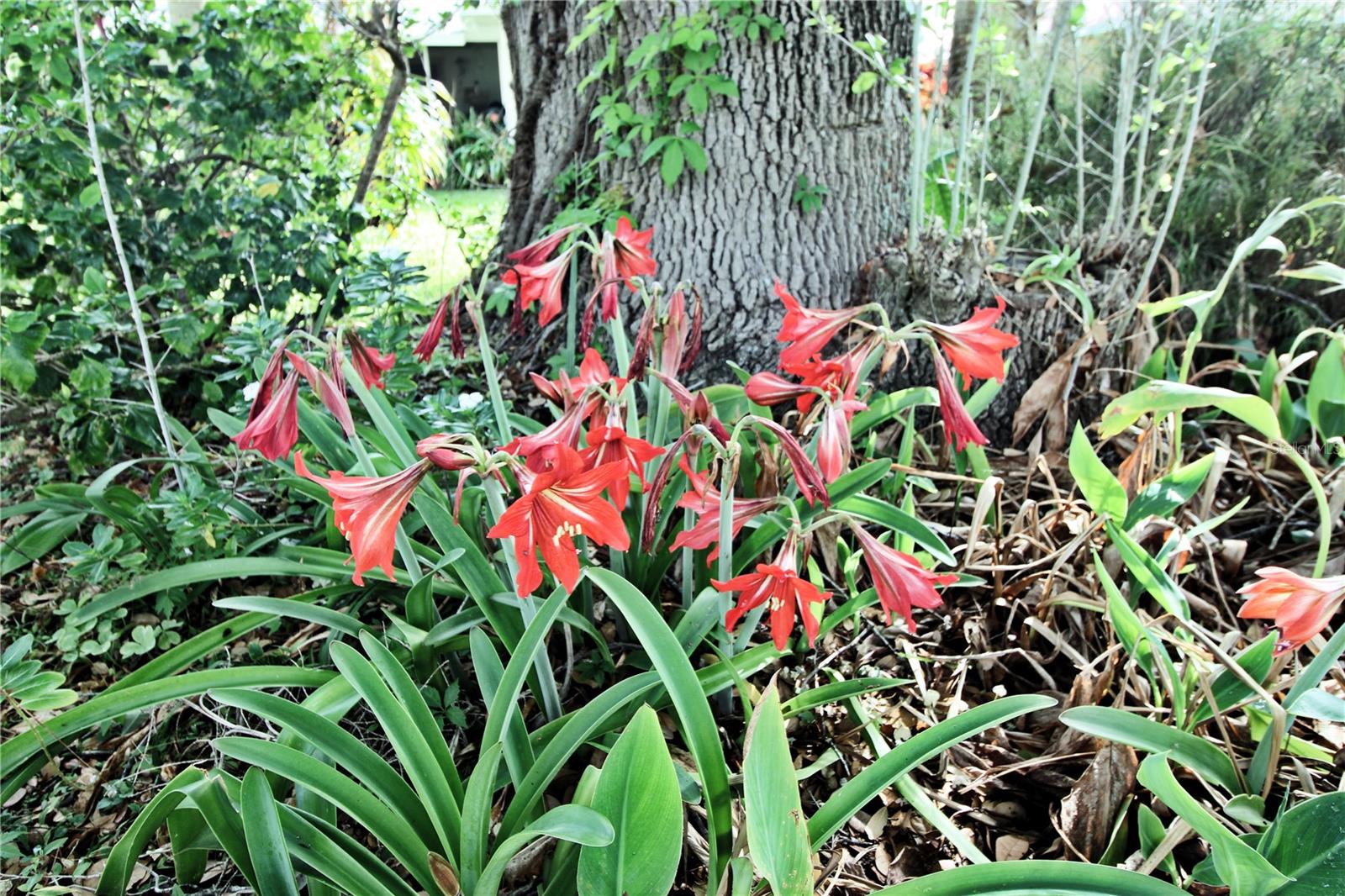 1167 PEACHTREE RD, DAYTONA BEACH, FL, 32114