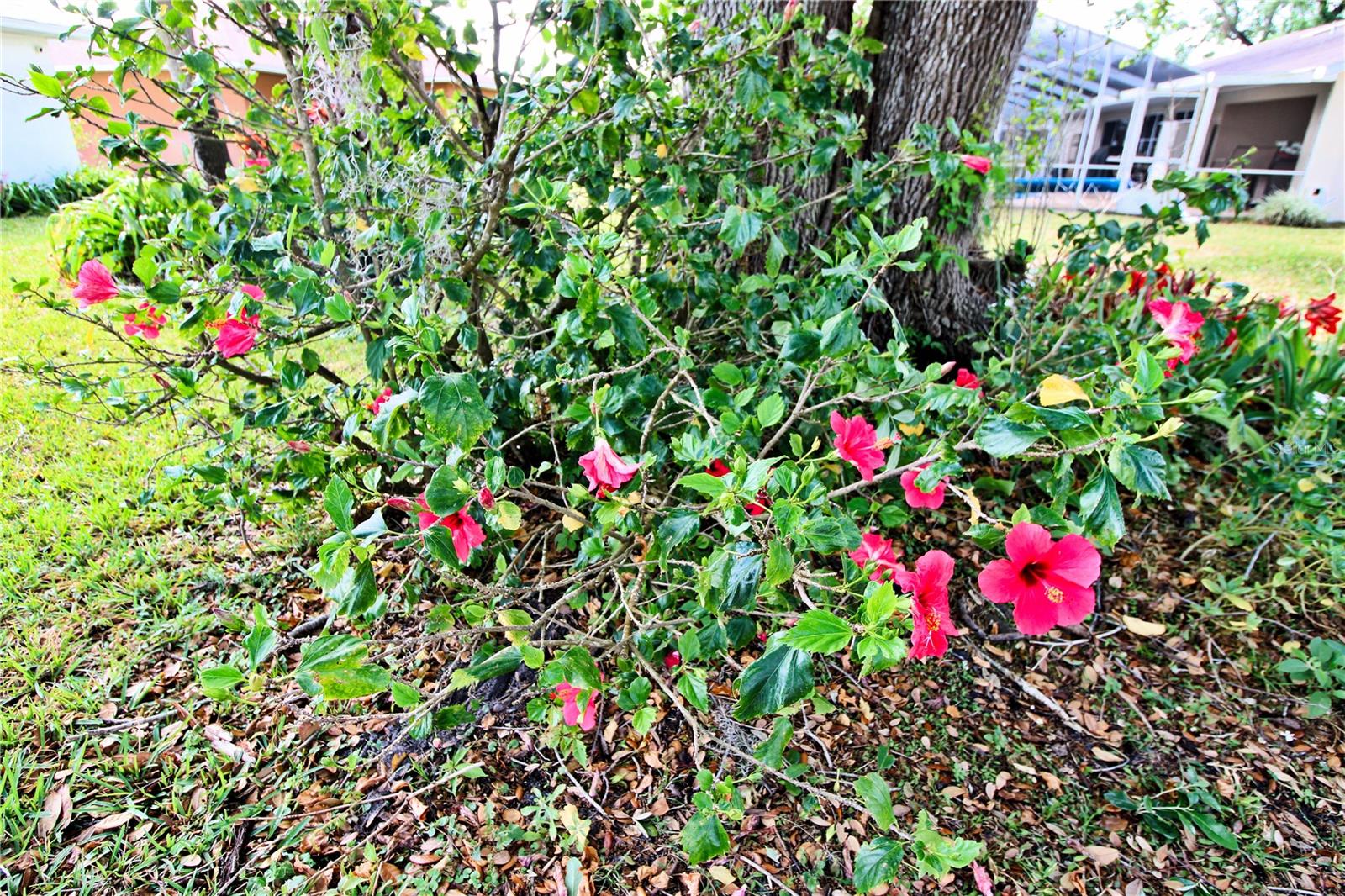 1167 PEACHTREE RD, DAYTONA BEACH, FL, 32114