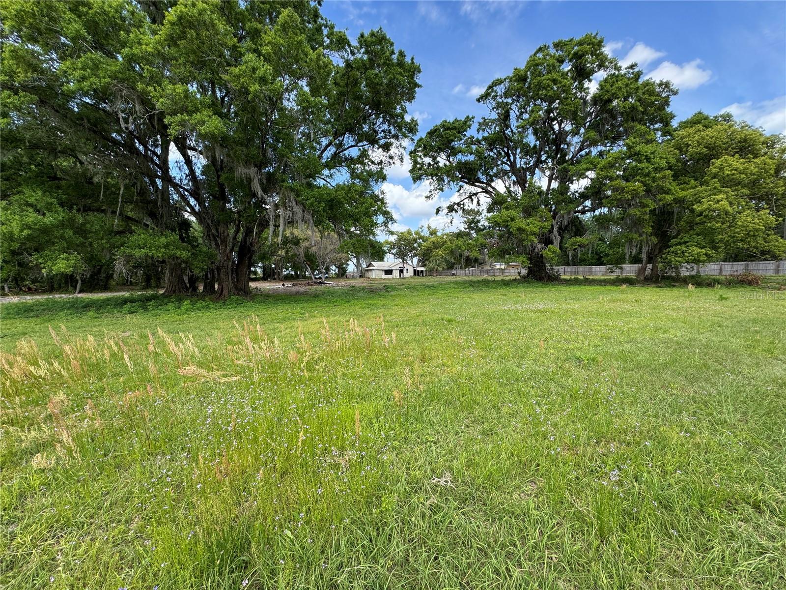 1425 DOUGLAS RD, GROVELAND, FL, 34736