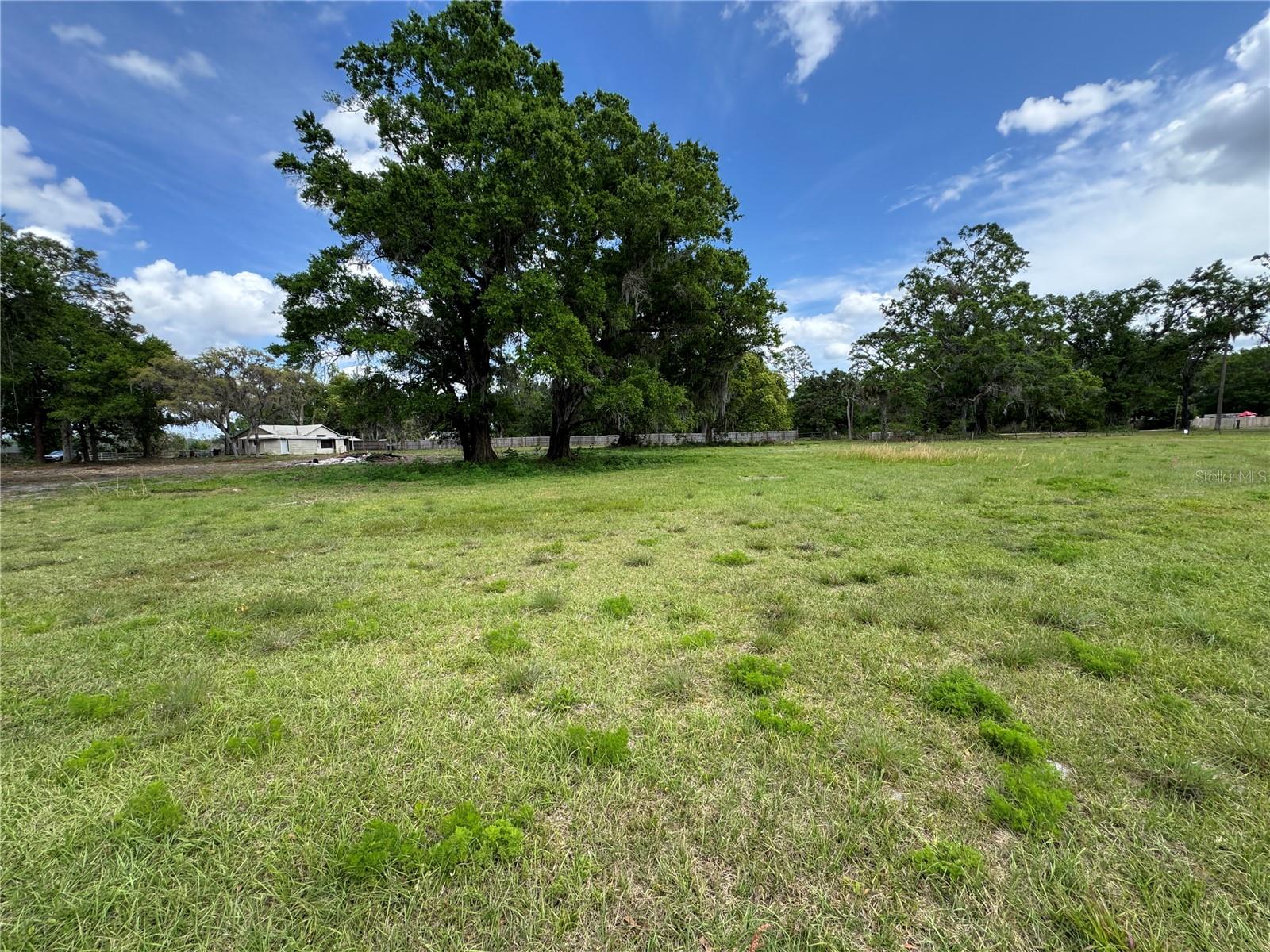 1425 DOUGLAS RD, GROVELAND, FL, 34736