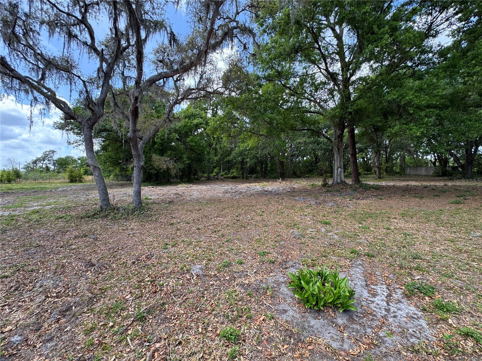 1425 DOUGLAS RD, GROVELAND, FL, 34736