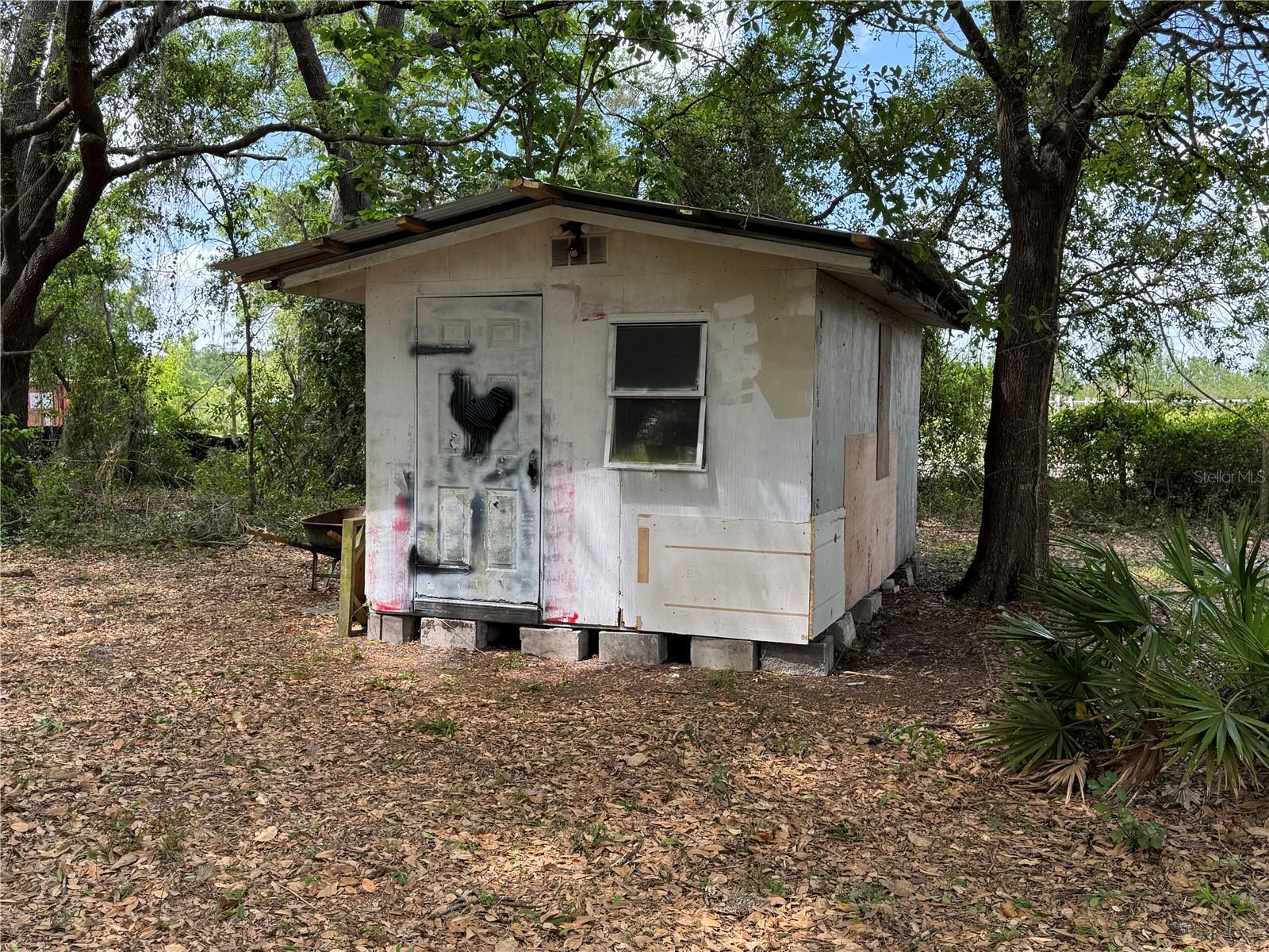 1425 DOUGLAS RD, GROVELAND, FL, 34736