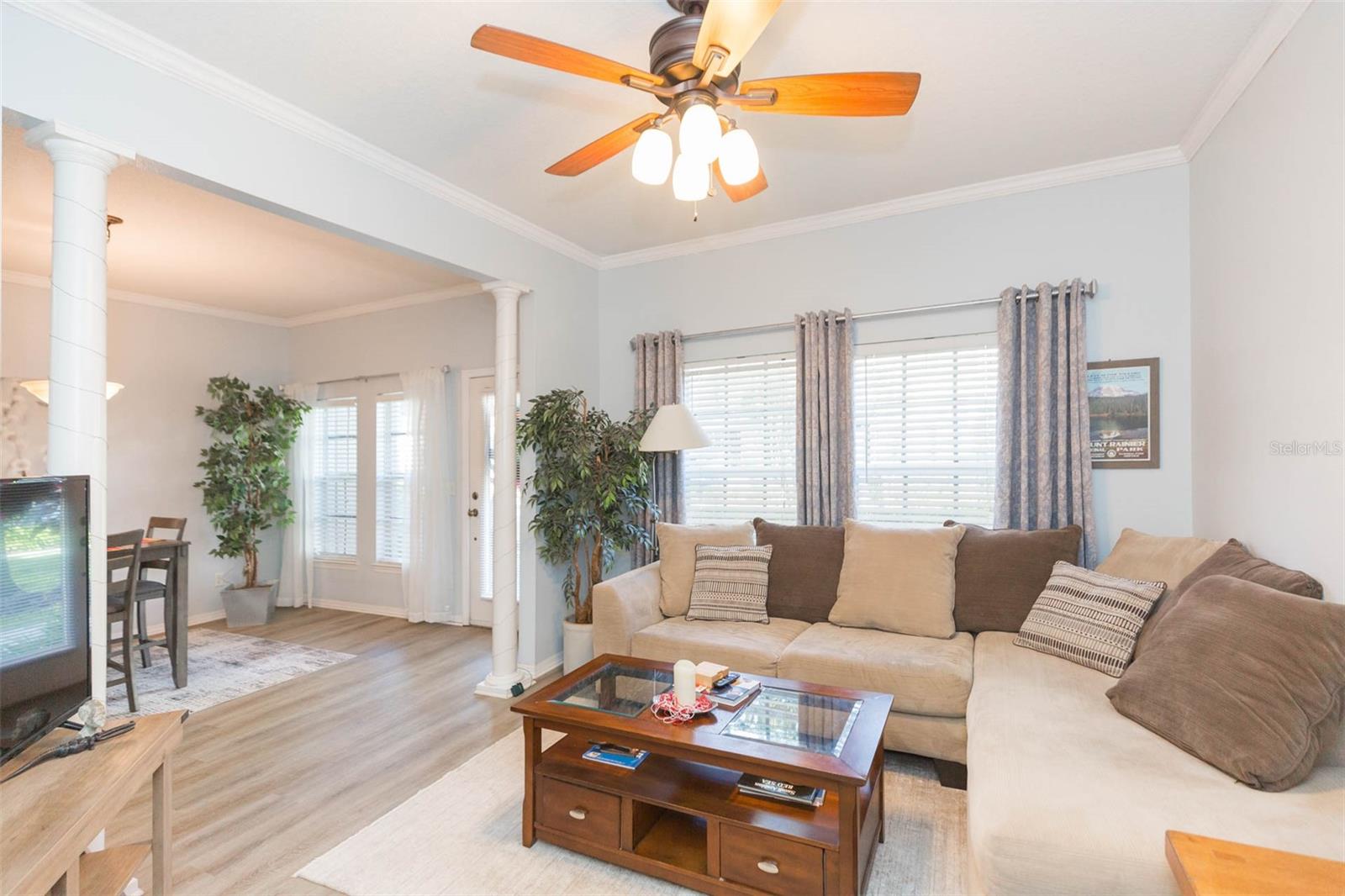 10068 OLD HAVEN WAY, TAMPA, FL, 33624