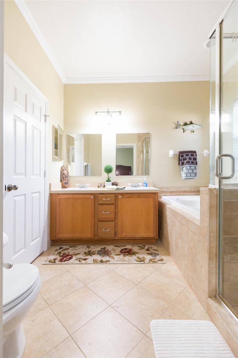 10068 OLD HAVEN WAY, TAMPA, FL, 33624