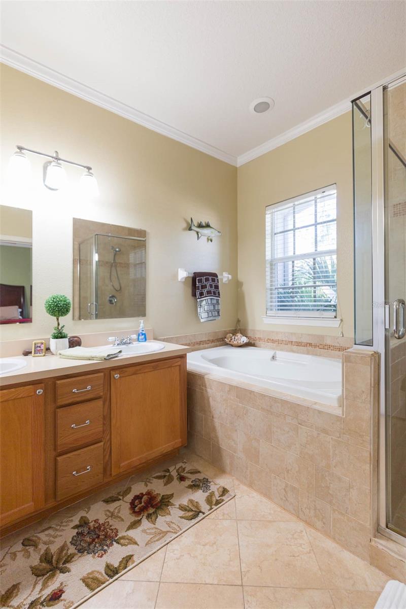 10068 OLD HAVEN WAY, TAMPA, FL, 33624