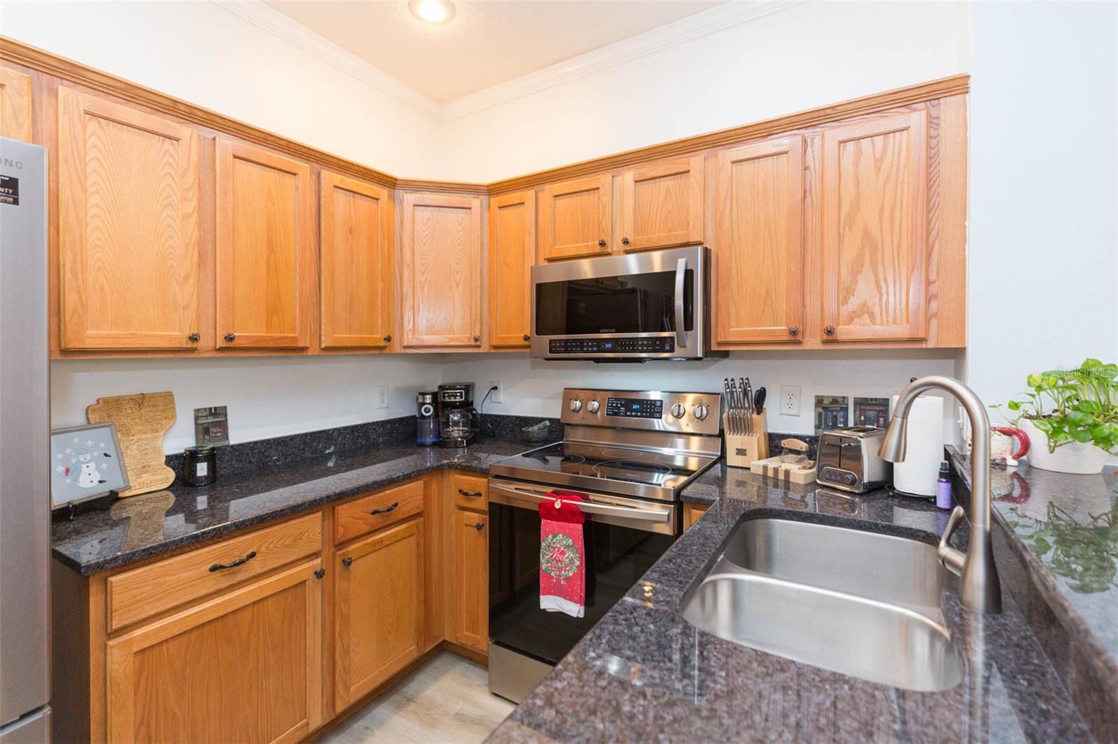 10068 OLD HAVEN WAY, TAMPA, FL, 33624