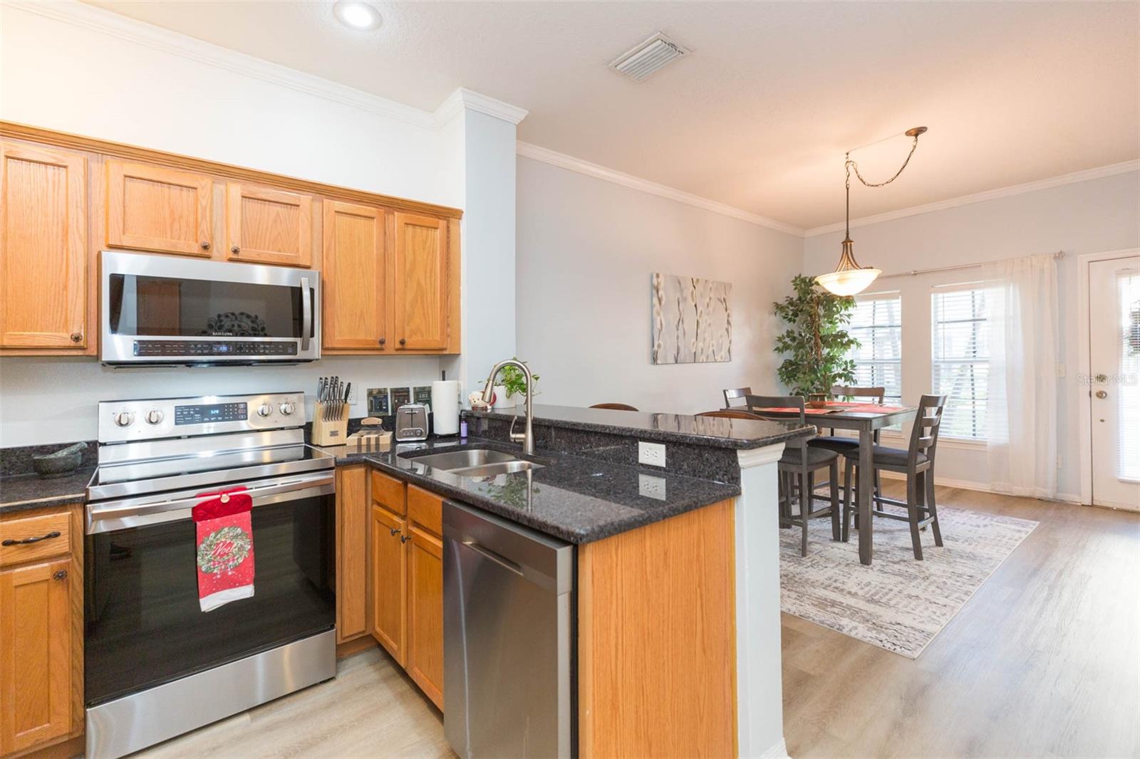 10068 OLD HAVEN WAY, TAMPA, FL, 33624