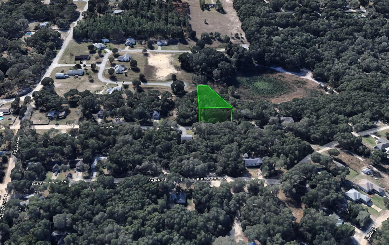 4346 CASAURINA RD, LADY LAKE, FL, 32159